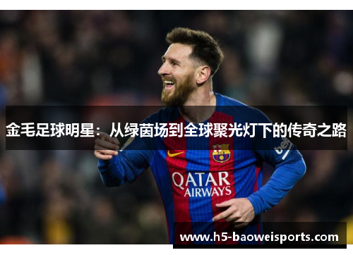金毛足球明星：从绿茵场到全球聚光灯下的传奇之路